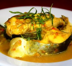 PATIN TEMPOYAK